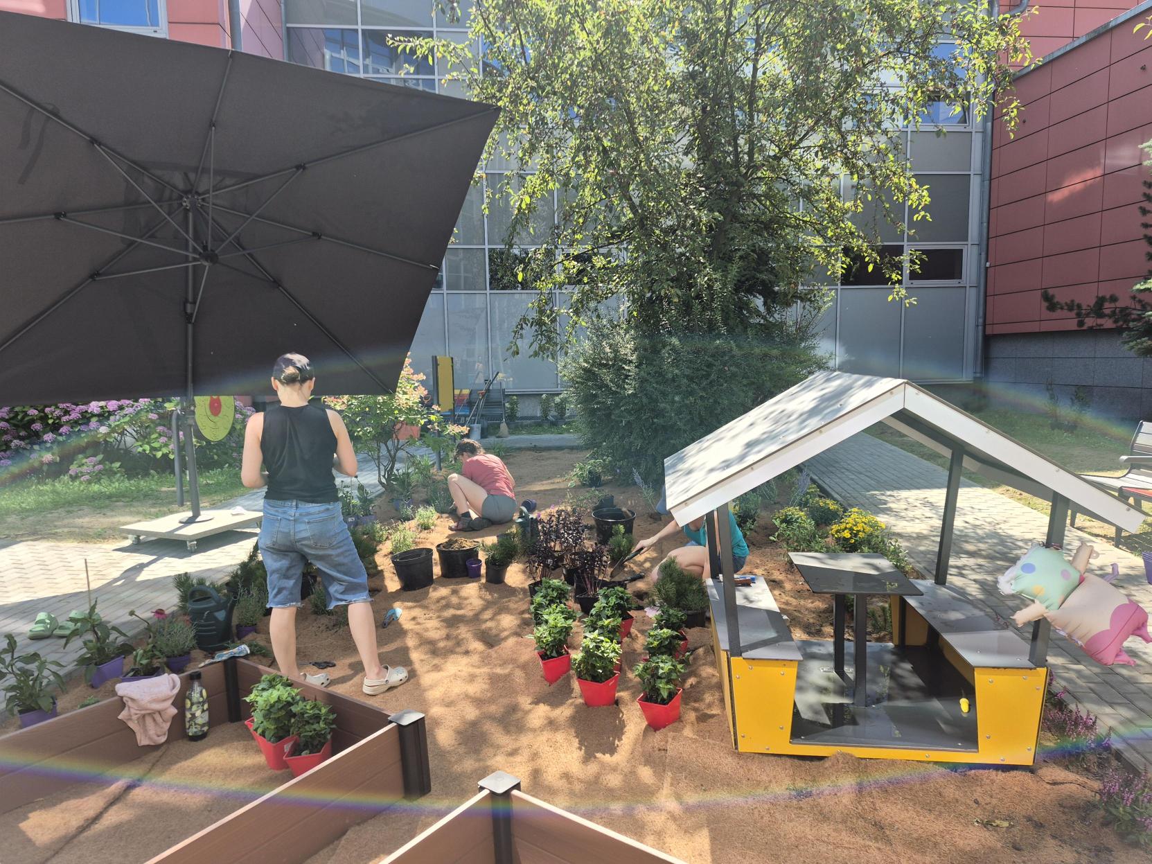 Multimedia (14)