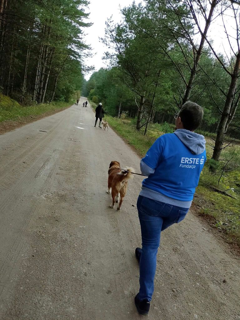 Wrzesień pod znakiem psów o kotów 🐾🐾